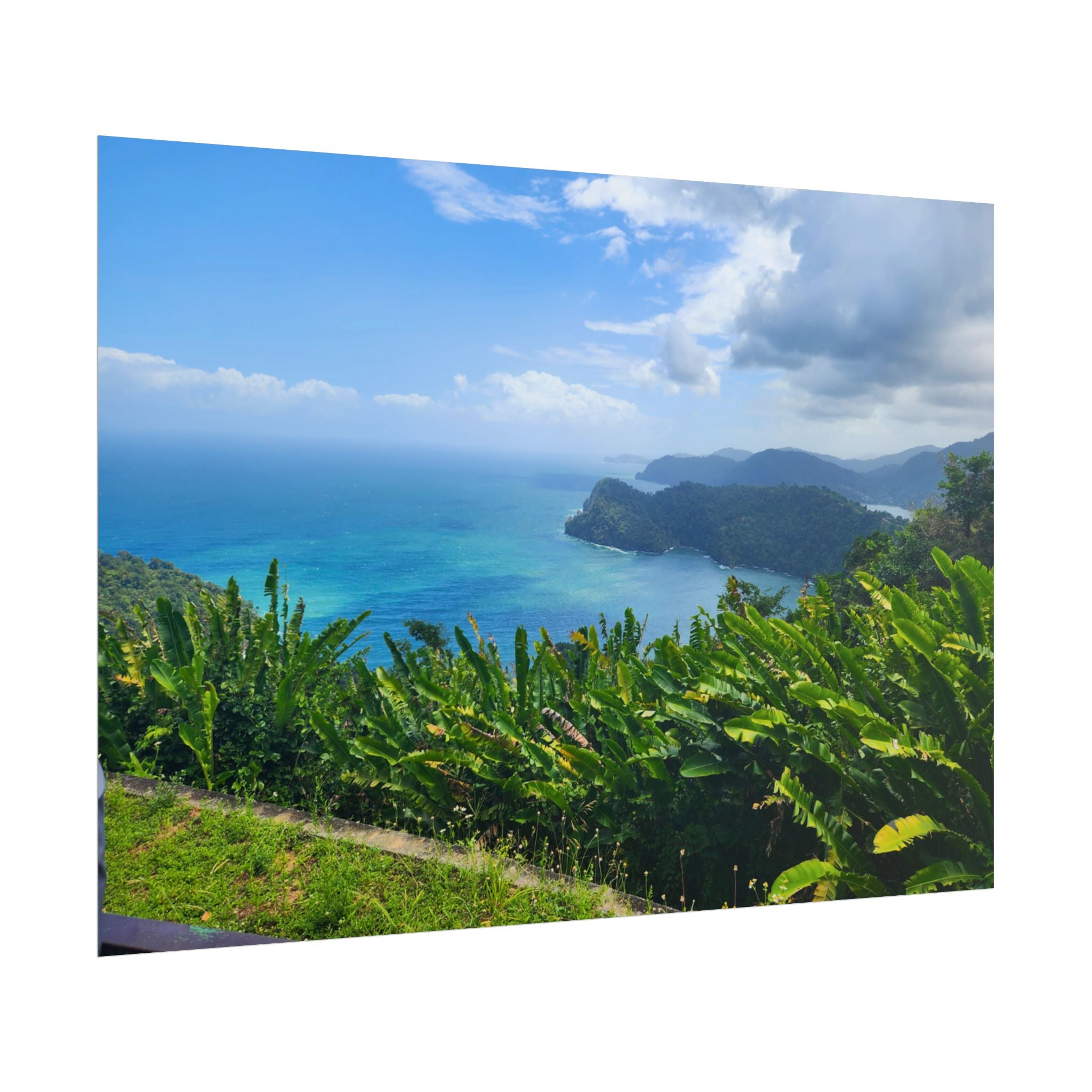 Personalization, WHAT A VIEW,  Rolled Posters