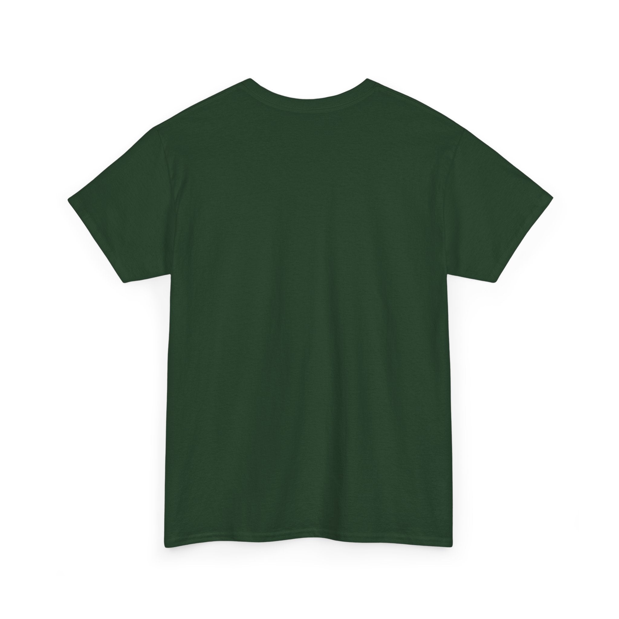 IRISH ENDURANCE CHAMPION Unisex Heavy Cotton Tee