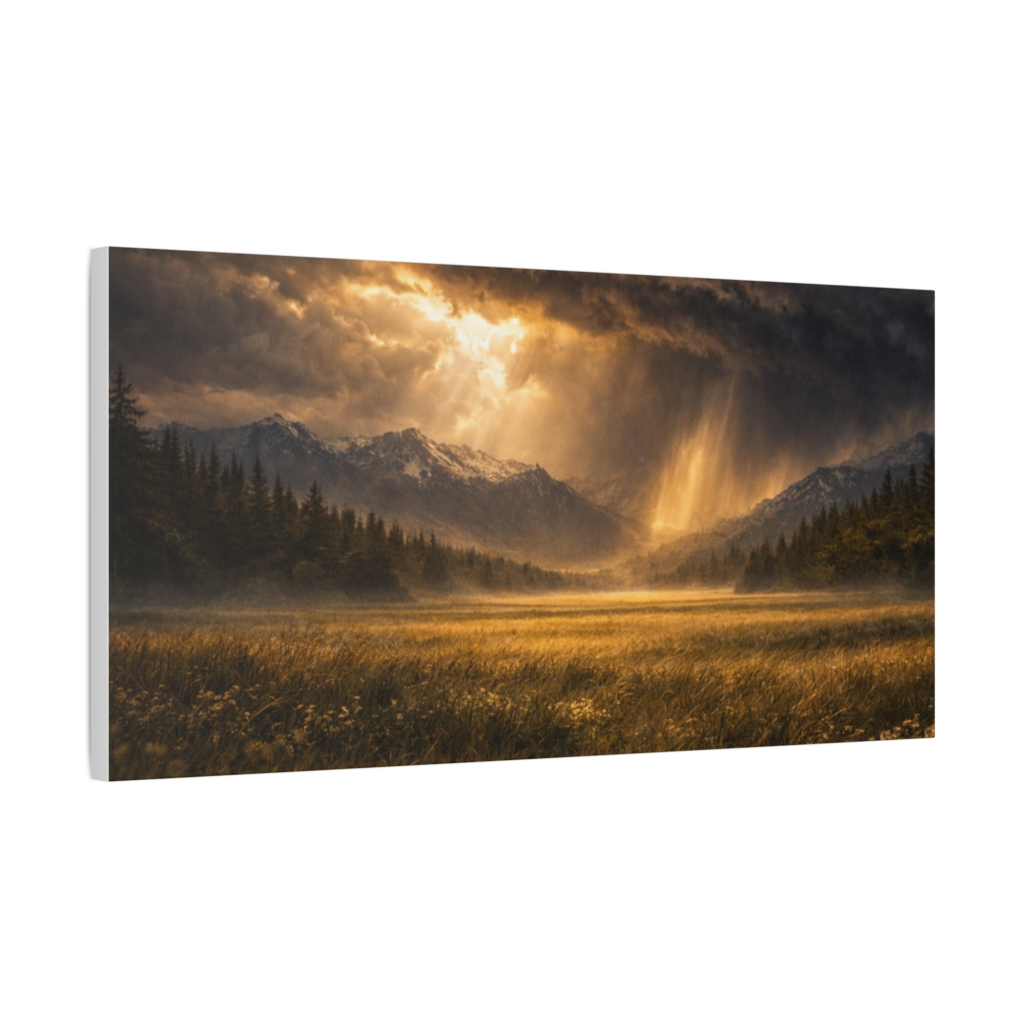 Stormy Meadow Wall Art | "Where the Storm Breaks" | Motivational Canvas Print | Fine Art